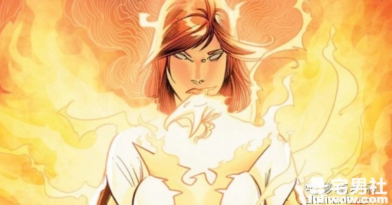 我们挺黑凤凰拚未来!解密黑凤凰 - 第2张 我们挺黑凤凰拚未来!解密黑凤凰 - 第2张