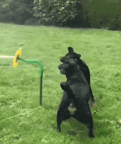 日刊:火遍微博的“手机腿”晒照大赛开启,你喜欢这种吗?