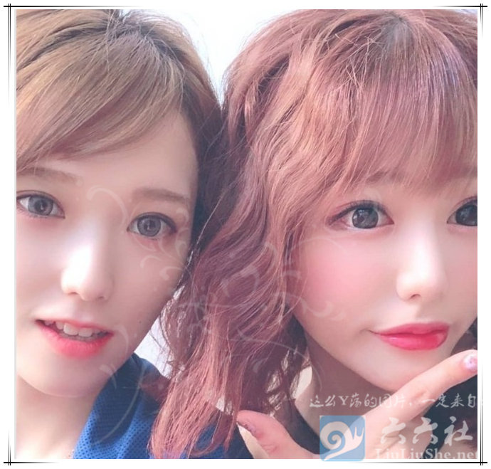 「藤白桃羽」为什么比「桥本有菜」还要受欢迎?