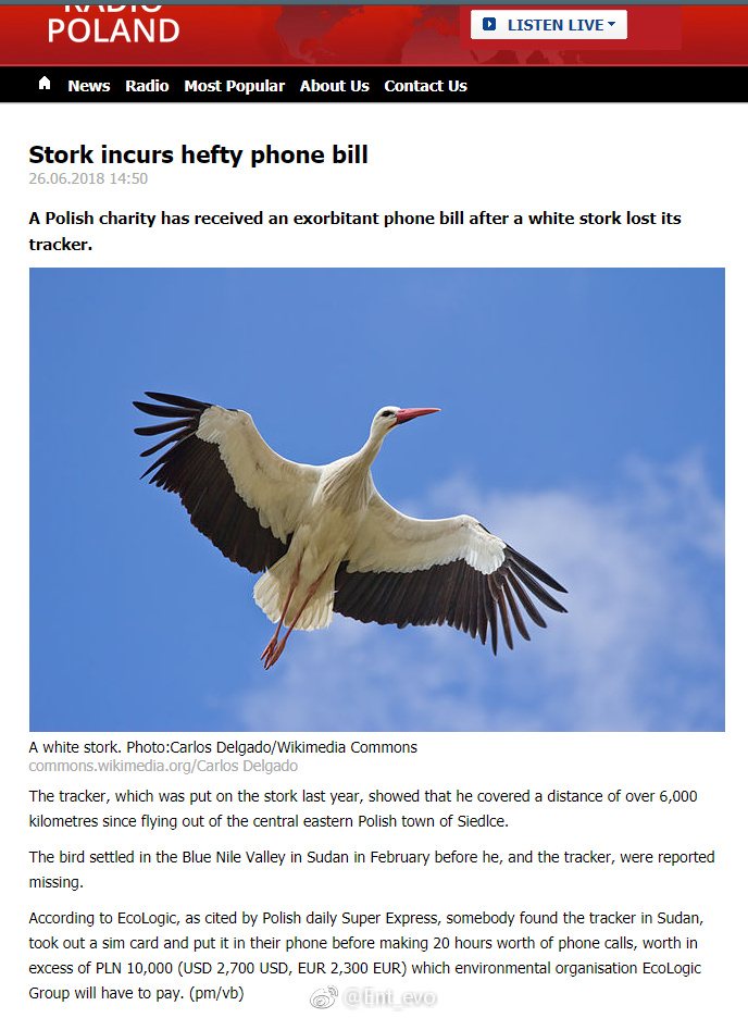 这世上啥(失败的)研究都有