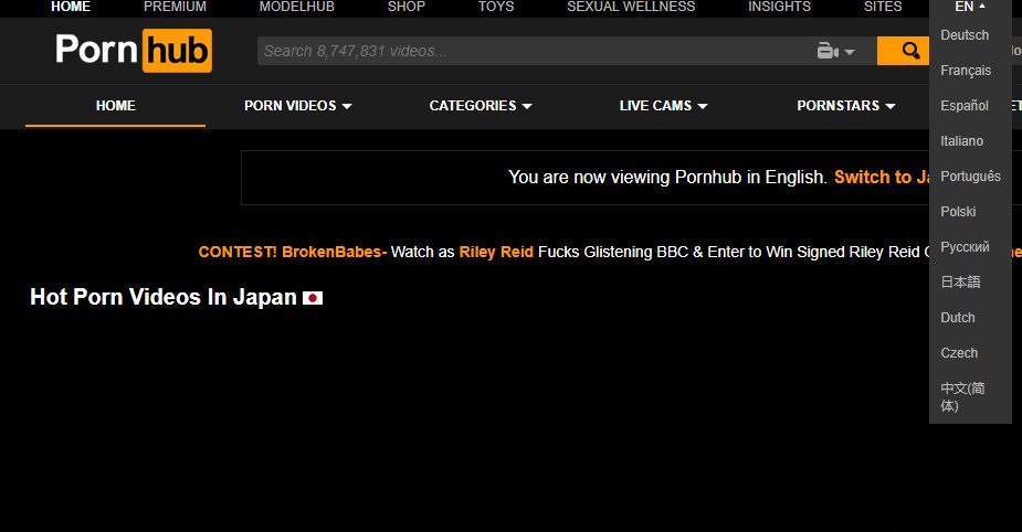 另类的P站是什么?它觉得自己是最懂互联网的科技公司