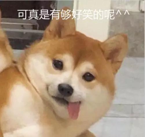 B站乔碧萝事件背后,是网红影响力的失控