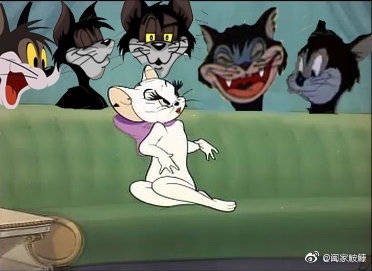 「五黑一白」和椎名空有什么关系?「五黑一白」这个梗是什么意思?