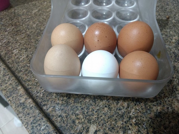 「五黑一白」和椎名空有什么关系?「五黑一白」这个梗是什么意思?