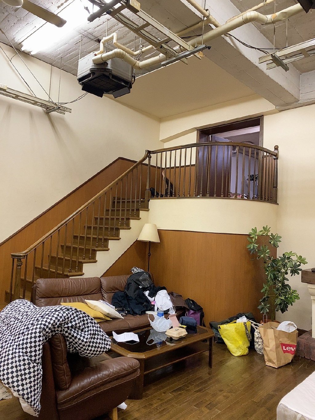 2020年福利汇总第8期:桃谷绘里香不去演喜剧可惜了