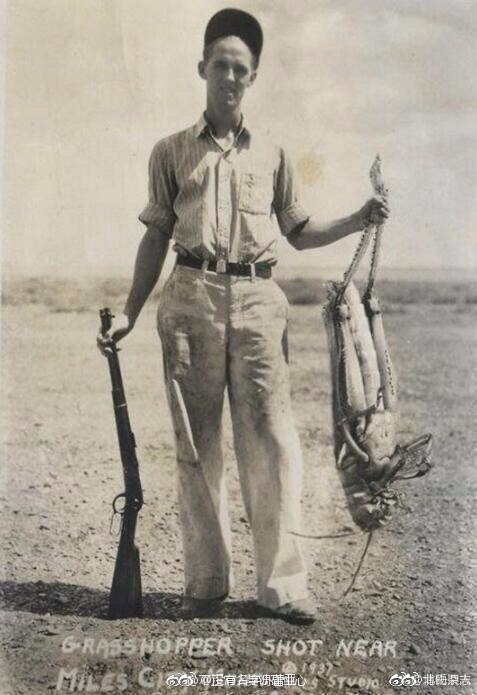 沙漠蝗灾真的结束了吗?非洲蝗灾的蝗虫长啥样?