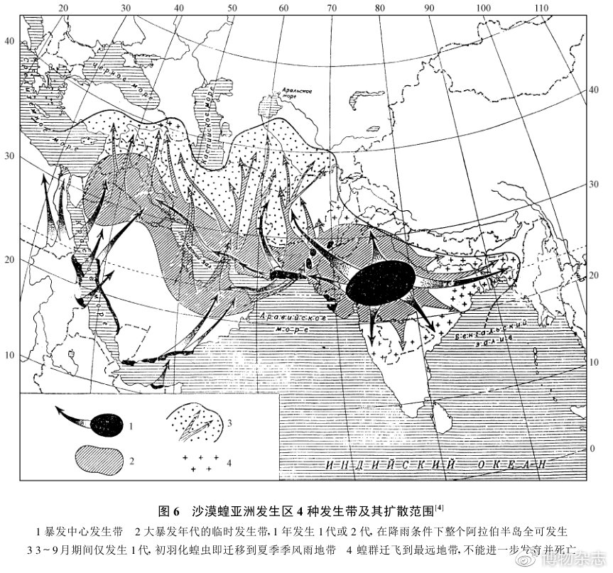 沙漠蝗灾真的结束了吗?非洲蝗灾的蝗虫长啥样?