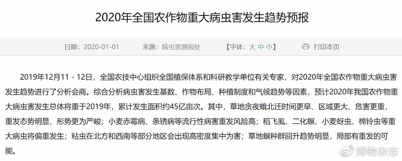 沙漠蝗灾真的结束了吗?非洲蝗灾的蝗虫长啥样?