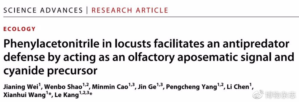 沙漠蝗灾真的结束了吗?非洲蝗灾的蝗虫长啥样?