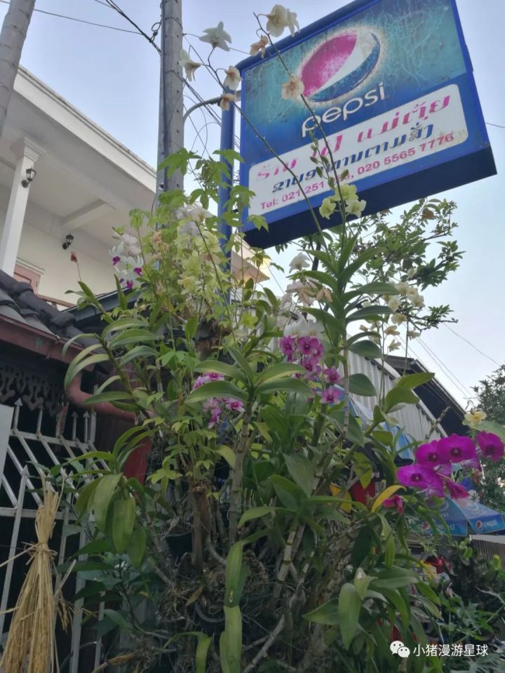 老挝是个什么样的国家?