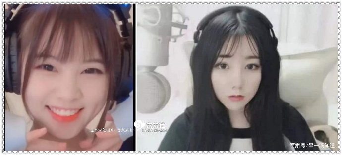 2020日刊第114期:“一条小团团”的黑料不打烊 日刊 第2张-宅男社 2020日刊第114期:“一条小团团”的黑料不打烊 liuliushe.net宅男社 第2张