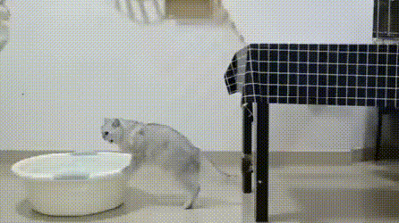 2020日刊第114期:“一条小团团”的黑料不打烊 日刊 第8张-宅男社 2020日刊第114期:“一条小团团”的黑料不打烊 liuliushe.net宅男社 第8张