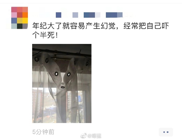 2020日刊第114期:“一条小团团”的黑料不打烊 日刊 第12张-宅男社 2020日刊第114期:“一条小团团”的黑料不打烊 liuliushe.net宅男社 第12张