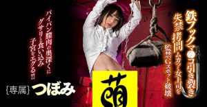 つぼみ(蕾，Tsubomi)作品WAAA-054封面及剧情图片介绍-星玉馆