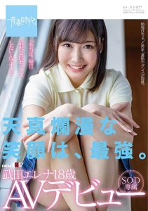 武田エレナ(武田绘玲奈，Takeda-Erena)作品SDAB-135封面及剧情图片介绍-星玉馆