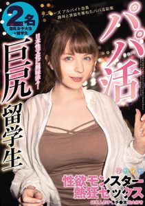 辻井ほのか、June Lovejoy经典合演作品ABPN-010封面及剧情图片介绍-星玉馆