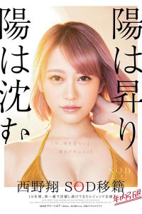 西野翔作品STARS-113封面及剧情图片介绍-星玉馆