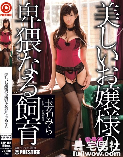 玉名美良（玉名みらです）作品全集及番号封面一览 - 第3张