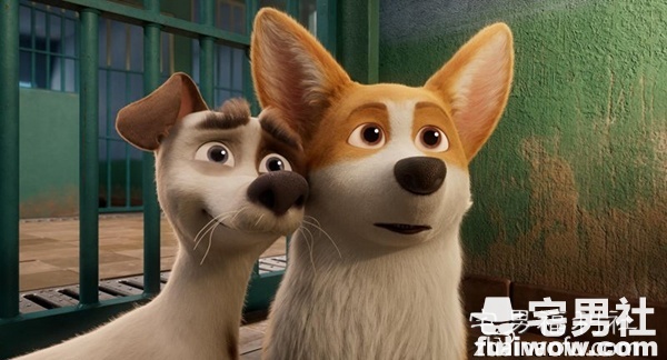 《女王的柯基》:团结则存！ - 第5张