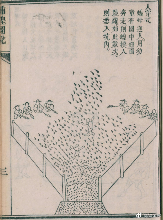 沙漠蝗灾真的结束了吗？非洲蝗灾的蝗虫长啥样？