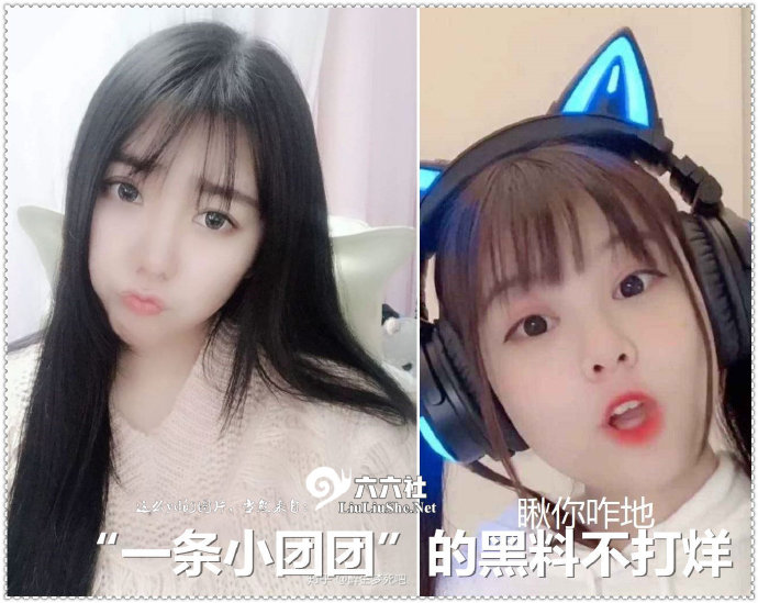 “一条小团团”的黑料是怎么回事-星玉馆