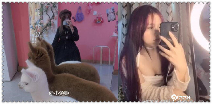 图片[2]-“抖音小兔姬”百度云录屏事件-星玉馆