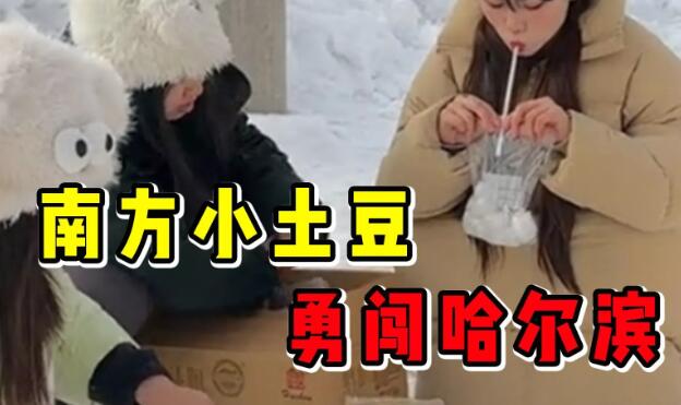 南方小土豆是什么梗？-星玉馆