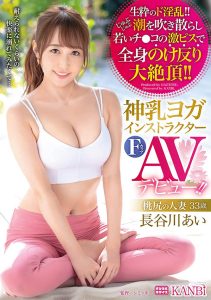 长谷川あい(长谷川爱，Hasekawa-Ai)作品DTT-074封面及剧情图片介绍-星玉馆