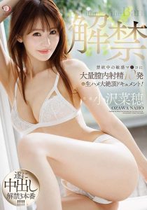 小沢菜穂(小泽菜穗)最新作品dldss-387封面及图片剧情介绍-星玉馆