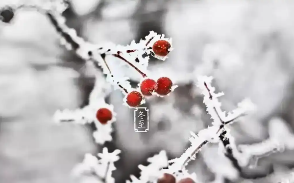 图片[2]-冬至为什么人容易生病？-星玉馆