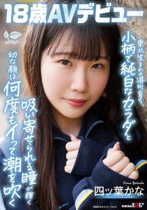 四ツ叶かな(四叶香奈)最新作品sdab-330封面及图片剧情介绍-星玉馆