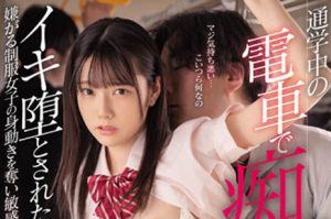 宫下玲奈(Miyashita-Reina)作品MIDV-185封面及剧情图片介绍-星玉馆