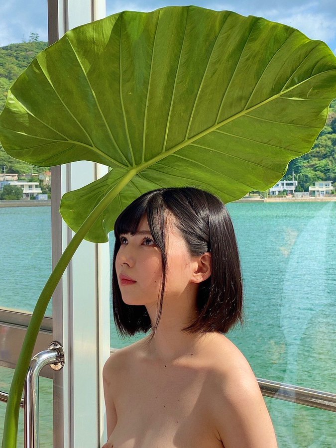 日野莉子(日野りこ）个人资料及作品推荐封面图片预览-星玉馆