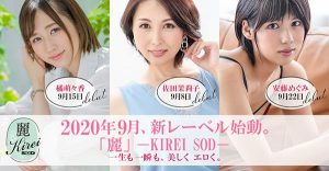 安藤めぐみ(安藤惠，Andou-Megumi)作品Kire-003封面及剧情图片介绍-星玉馆