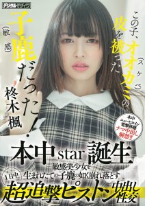 柊木枫(Hiiragi-Kaede)作品HMN-049封面及剧情图片介绍-星玉馆