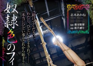志木あかね(志木茜，Shiki-Akane)作品RBK-035封面及剧情图片介绍-星玉馆