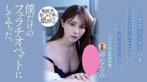 岬ななみ(岬奈奈美，Misaki-Nanami)作品ATID-521封面及剧情图片介绍-星玉馆