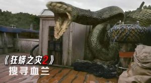 关于蛇的电影：百年蛇影编织的奇幻光影世界-星玉馆