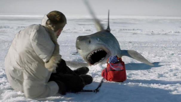 鲨影迷踪：从银幕巨齿到生态之思-星玉馆